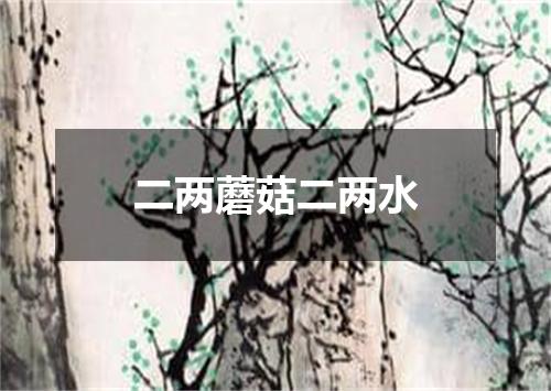 二两蘑菇二两水