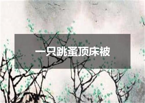 一只跳蚤顶床被