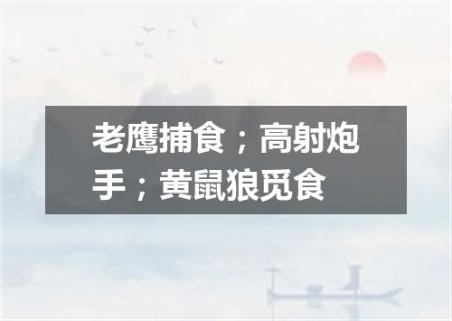 老鹰捕食；高射炮手；黄鼠狼觅食