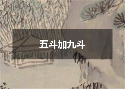 五斗加九斗