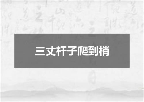 三丈杆子爬到梢
