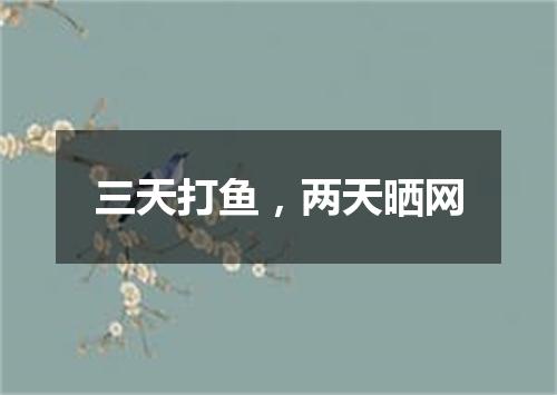 三天打鱼，两天晒网