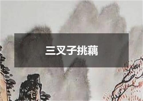 三叉子挑藕
