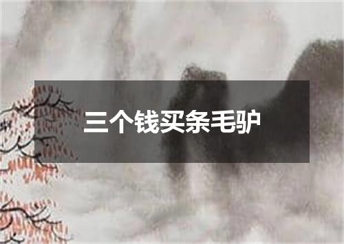 三个钱买条毛驴