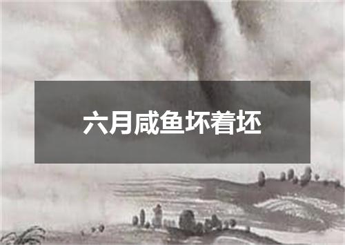 六月咸鱼坏着坯