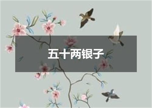 五十两银子
