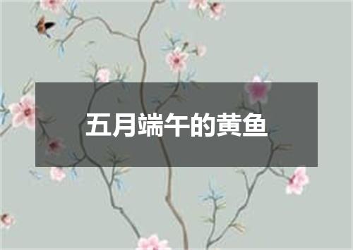五月端午的黄鱼