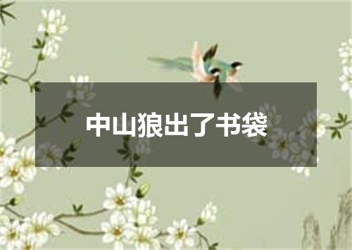 中山狼出了书袋