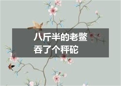 八斤半的老鳖吞了个秤砣