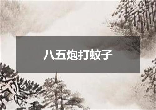 八五炮打蚊子