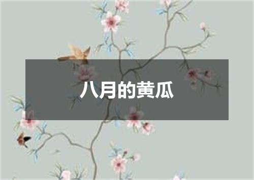 八月的黄瓜