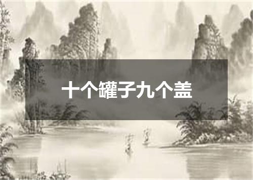 十个罐子九个盖