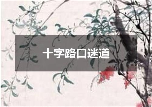 十字路口迷道