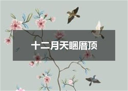 十二月天睏厝顶