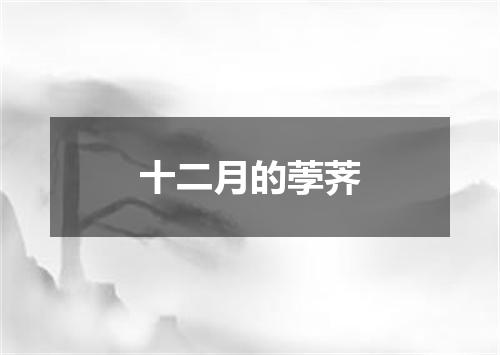 十二月的荸荠
