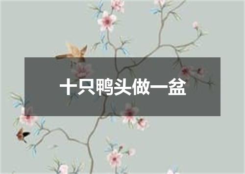 十只鸭头做一盆