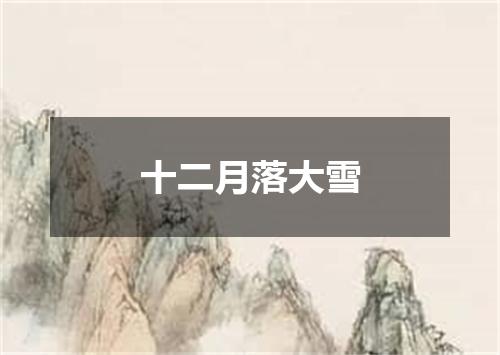 十二月落大雪