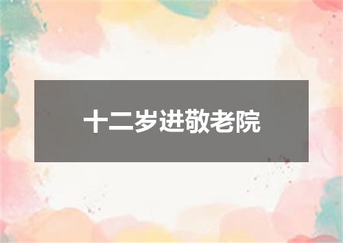 十二岁进敬老院