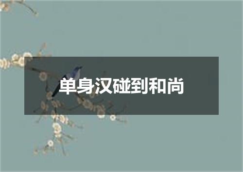 单身汉碰到和尚