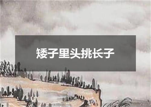 矮子里头挑长子