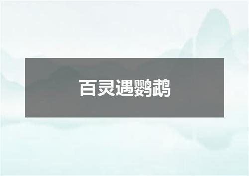 百灵遇鹦鹉