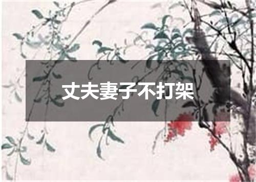 丈夫妻子不打架