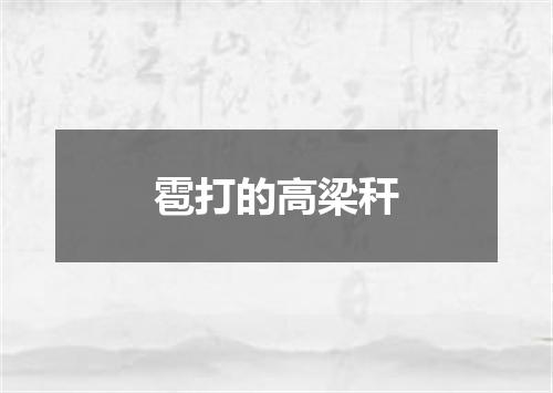 雹打的高梁秆