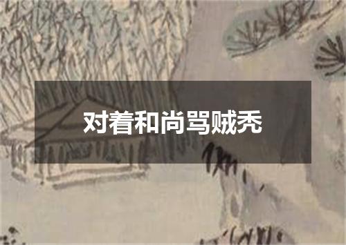 对着和尚骂贼秃