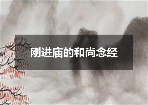 刚进庙的和尚念经