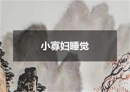 小寡妇睡觉