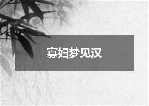 寡妇梦见汉