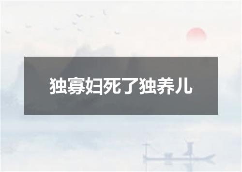 独寡妇死了独养儿