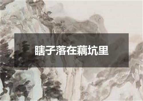 瞎子落在藕坑里