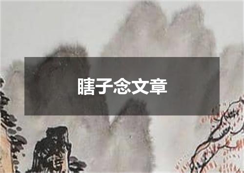 瞎子念文章