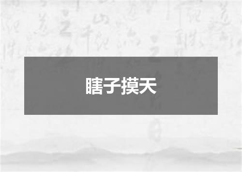 瞎子摸天