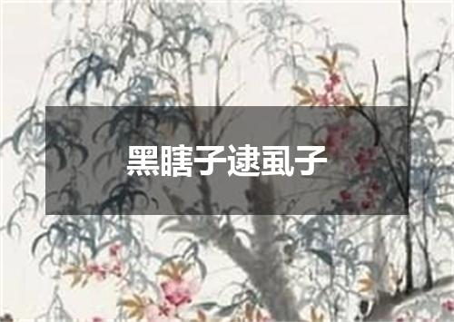 黑瞎子逮虱子