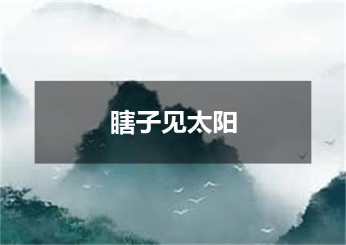 瞎子见太阳
