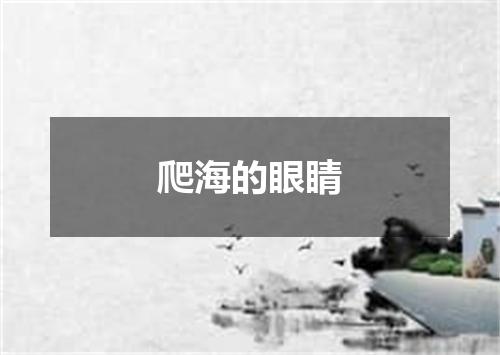 爬海的眼睛