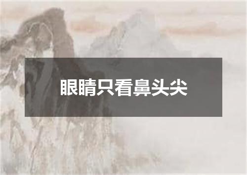 眼睛只看鼻头尖