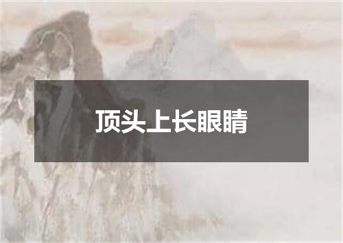 顶头上长眼睛