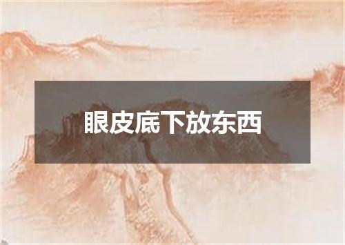 眼皮底下放东西