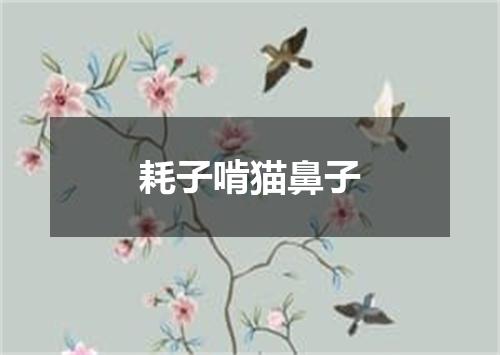 耗子啃猫鼻子