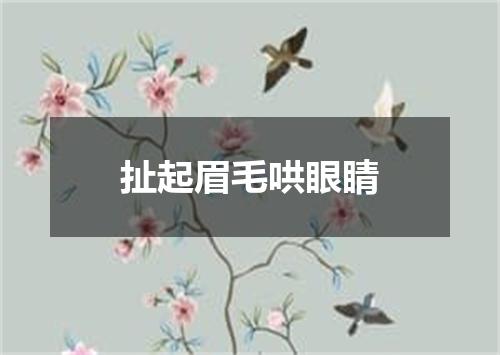 扯起眉毛哄眼睛