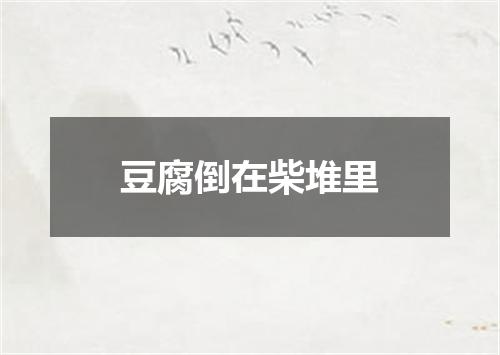 豆腐倒在柴堆里