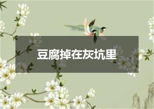 豆腐掉在灰坑里