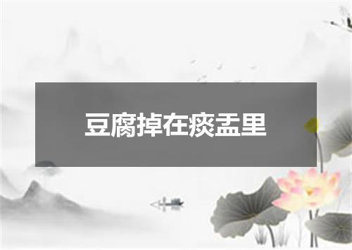豆腐掉在痰盂里