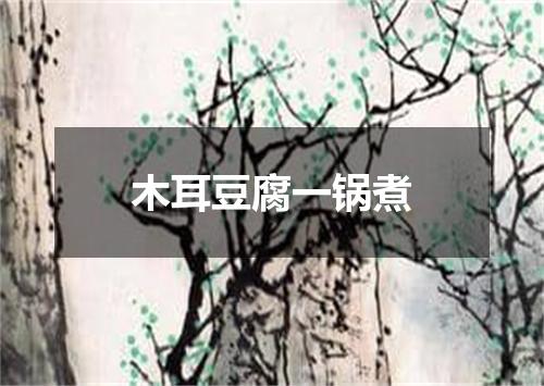 木耳豆腐一锅煮