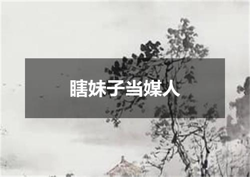 瞎妹子当媒人