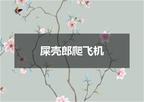 屎壳郎爬飞机