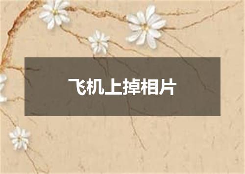 飞机上掉相片